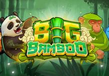 Big Bamboo