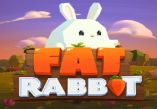 Fat Rabbit