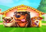 The Dog House