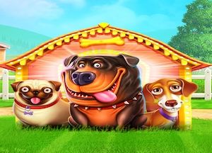 Generel information om The Dog House spilleautomat